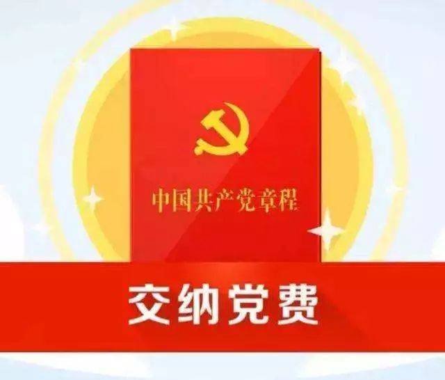 这些情况下，如何交纳党费？